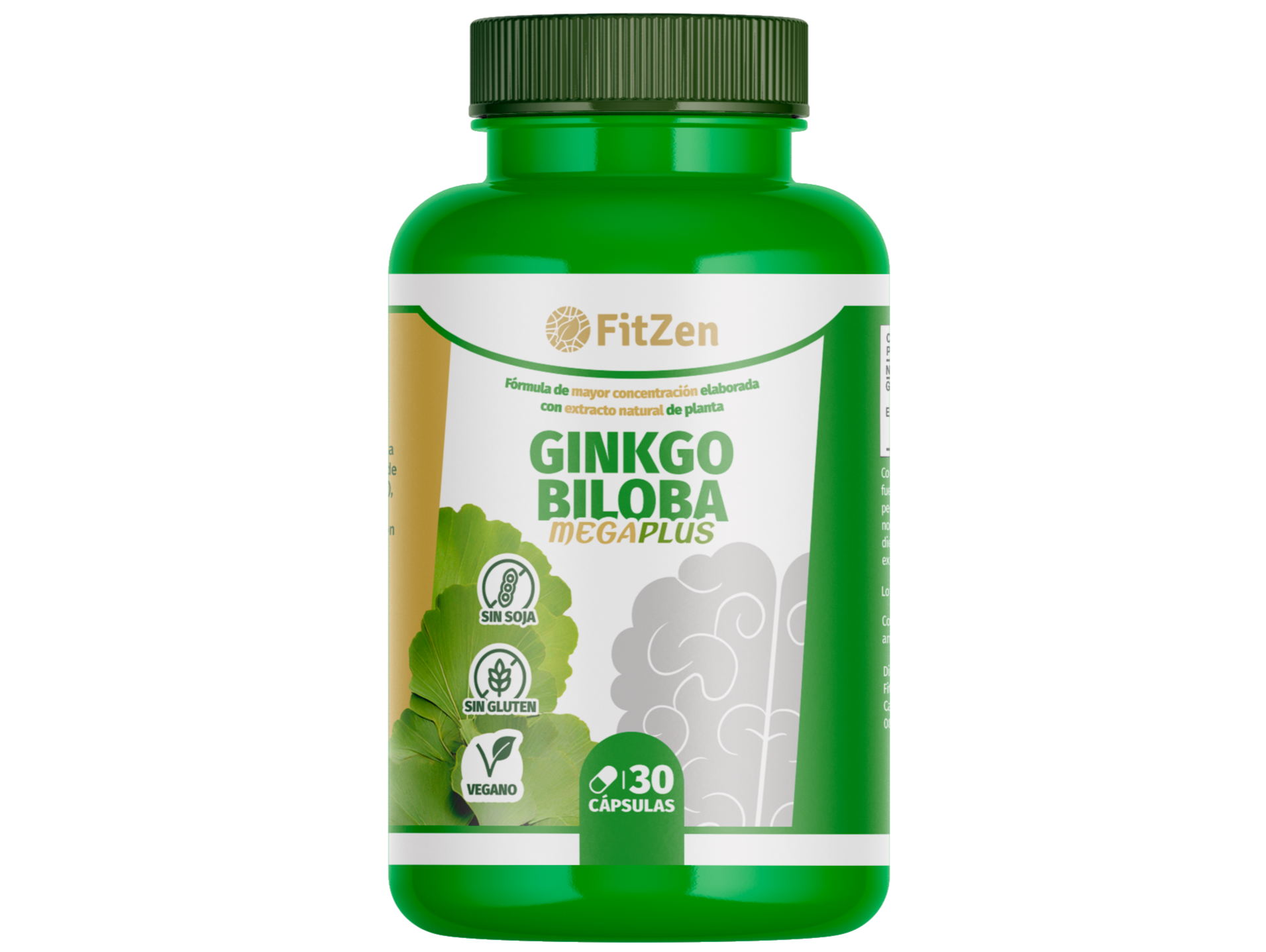 Ginkgo Biloba MEGAPLUS