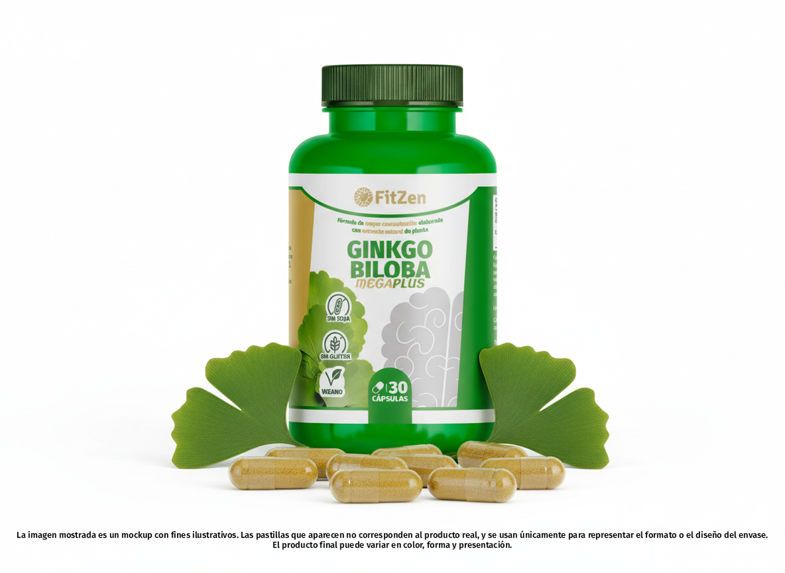 Ginkgo Biloba MEGAPLUS
