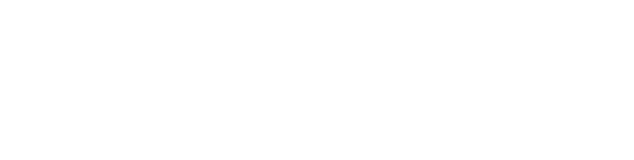 Fitzen